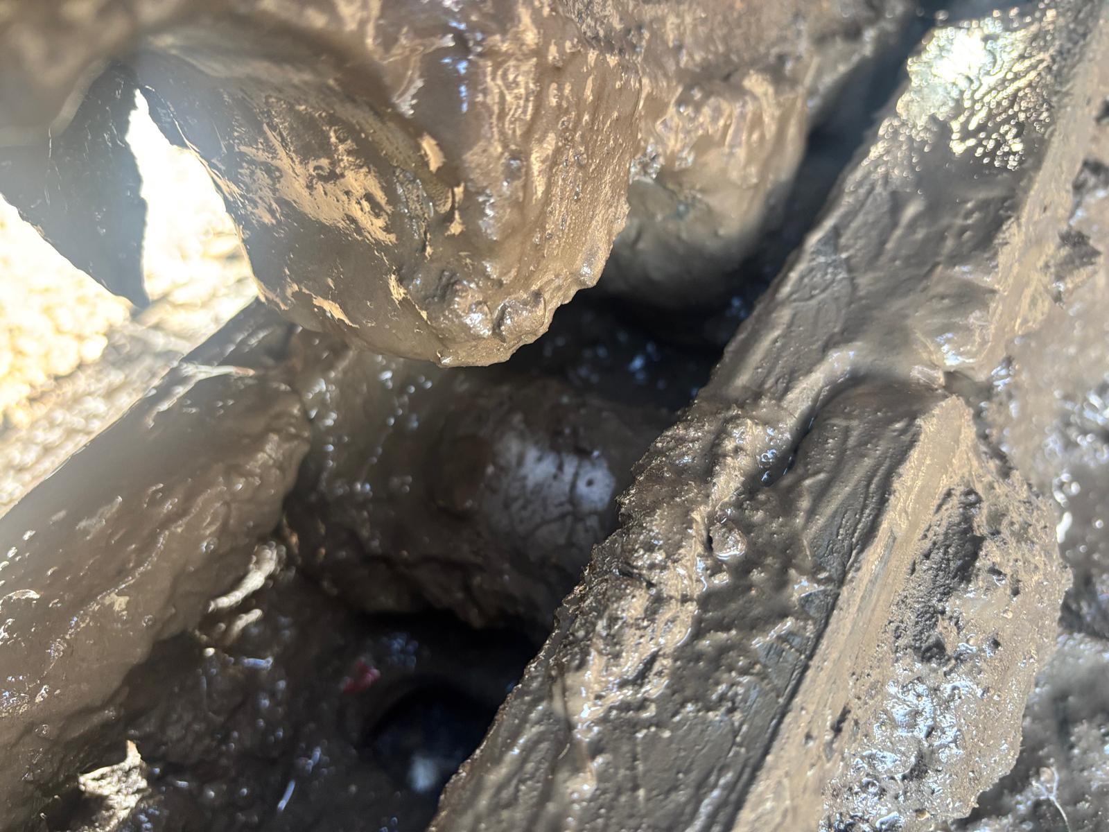 2016 JCB JS160 EXCAVATOR DIGGER PIPED FOR GRAB , NEW UNDERCARRIAGE - Image 2